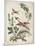 Ornament. Chinoiserie. Flowers and Birds., 1770-Jean Baptiste Pillement-Mounted Giclee Print