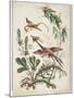 Ornament. Chinoiserie. Flowers and Birds., 1770-Jean Baptiste Pillement-Mounted Giclee Print