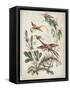 Ornament. Chinoiserie. Flowers and Birds., 1770-Jean Baptiste Pillement-Framed Stretched Canvas