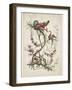 Ornament. Chinoiserie. Flowers and Birds., 1770-Jean Baptiste Pillement-Framed Giclee Print