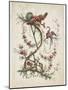 Ornament. Chinoiserie. Flowers and Birds., 1770-Jean Baptiste Pillement-Mounted Giclee Print