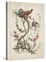 Ornament. Chinoiserie. Flowers and Birds., 1770-Jean Baptiste Pillement-Stretched Canvas