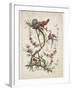 Ornament. Chinoiserie. Flowers and Birds., 1770-Jean Baptiste Pillement-Framed Giclee Print