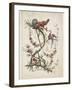 Ornament. Chinoiserie. Flowers and Birds., 1770-Jean Baptiste Pillement-Framed Giclee Print