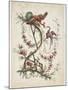 Ornament. Chinoiserie. Flowers and Birds., 1770-Jean Baptiste Pillement-Mounted Giclee Print