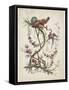 Ornament. Chinoiserie. Flowers and Birds., 1770-Jean Baptiste Pillement-Framed Stretched Canvas