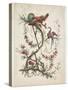 Ornament. Chinoiserie. Flowers and Birds., 1770-Jean Baptiste Pillement-Stretched Canvas