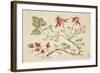 Ornament, Chinoiserie, Flowers, June 30, 1760-Pierre-Charles Canot-Framed Giclee Print