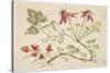 Ornament, Chinoiserie, Flowers, June 30, 1760-Pierre-Charles Canot-Stretched Canvas