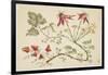 Ornament, Chinoiserie, Flowers, June 30, 1760-Pierre-Charles Canot-Framed Giclee Print