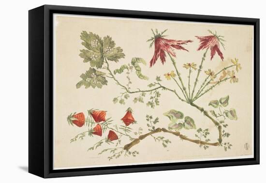 Ornament, Chinoiserie, Flowers, June 30, 1760-Pierre-Charles Canot-Framed Stretched Canvas