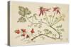 Ornament, Chinoiserie, Flowers, June 30, 1760-Pierre-Charles Canot-Stretched Canvas