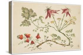 Ornament, Chinoiserie, Flowers, June 30, 1760-Pierre-Charles Canot-Stretched Canvas