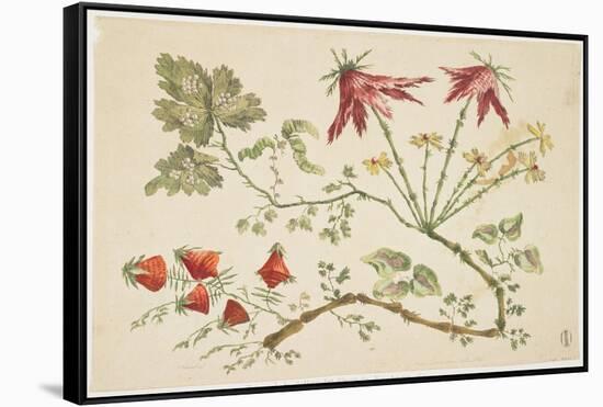 Ornament, Chinoiserie, Flowers, June 30, 1760-Pierre-Charles Canot-Framed Stretched Canvas