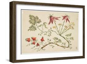 Ornament, Chinoiserie, Flowers, June 30, 1760-Pierre-Charles Canot-Framed Giclee Print