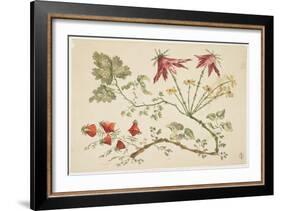 Ornament, Chinoiserie, Flowers, June 30, 1760-Pierre-Charles Canot-Framed Giclee Print