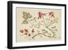 Ornament, Chinoiserie, Flowers, June 30, 1760-Pierre-Charles Canot-Framed Giclee Print