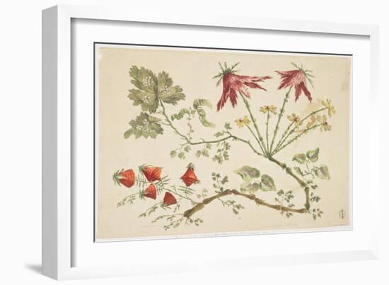 Ornament, Chinoiserie, Flowers, June 30, 1760-Pierre-Charles Canot-Framed Giclee Print