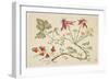 Ornament, Chinoiserie, Flowers, June 30, 1760-Pierre-Charles Canot-Framed Giclee Print
