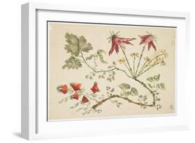 Ornament, Chinoiserie, Flowers, June 30, 1760-Pierre-Charles Canot-Framed Giclee Print