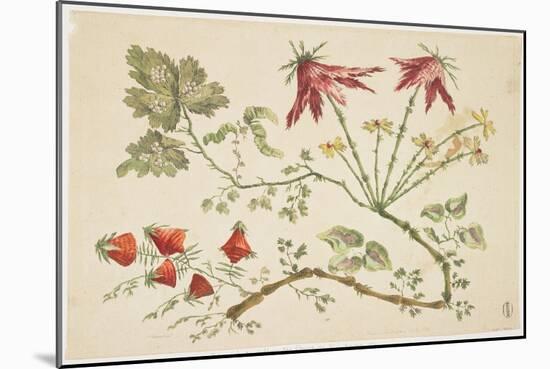 Ornament, Chinoiserie, Flowers, June 30, 1760-Pierre-Charles Canot-Mounted Giclee Print