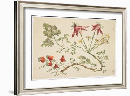 Ornament, Chinoiserie, Flowers, June 30, 1760-Pierre-Charles Canot-Framed Giclee Print