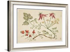 Ornament, Chinoiserie, Flowers, June 30, 1760-Pierre-Charles Canot-Framed Giclee Print