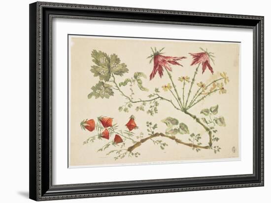 Ornament, Chinoiserie, Flowers, June 30, 1760-Pierre-Charles Canot-Framed Giclee Print