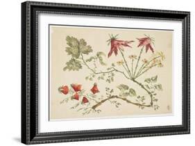 Ornament, Chinoiserie, Flowers, June 30, 1760-Pierre-Charles Canot-Framed Giclee Print