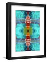 Ornament from Flower Photographs, Conceptual Layer Work-Alaya Gadeh-Framed Photographic Print