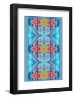 Ornament from Flower Photographs, Conceptual Layer Work-Alaya Gadeh-Framed Photographic Print