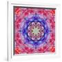 Ornament from Flower Photographs, Conceptual Layer Work-Alaya Gadeh-Framed Photographic Print