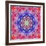 Ornament from Flower Photographs, Conceptual Layer Work-Alaya Gadeh-Framed Photographic Print