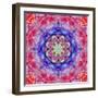 Ornament from Flower Photographs, Conceptual Layer Work-Alaya Gadeh-Framed Photographic Print