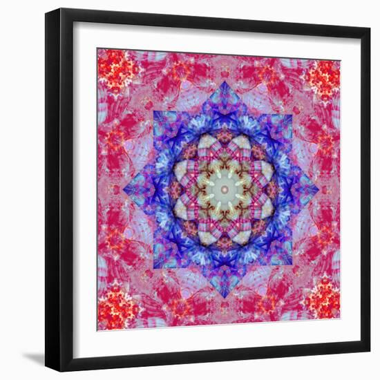 Ornament from Flower Photographs, Conceptual Layer Work-Alaya Gadeh-Framed Photographic Print