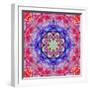 Ornament from Flower Photographs, Conceptual Layer Work-Alaya Gadeh-Framed Photographic Print