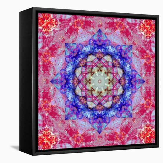 Ornament from Flower Photographs, Conceptual Layer Work-Alaya Gadeh-Framed Stretched Canvas