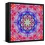 Ornament from Flower Photographs, Conceptual Layer Work-Alaya Gadeh-Framed Stretched Canvas