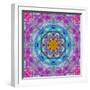 Ornament from Flower Photographs, Conceptual Layer Work-Alaya Gadeh-Framed Photographic Print