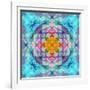 Ornament from Flower Photographs, Conceptual Layer Work-Alaya Gadeh-Framed Photographic Print