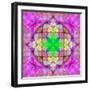 Ornament from Flower Photographs, Conceptual Layer Work-Alaya Gadeh-Framed Photographic Print