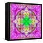 Ornament from Flower Photographs, Conceptual Layer Work-Alaya Gadeh-Framed Stretched Canvas