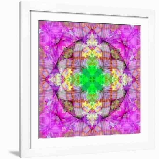 Ornament from Flower Photographs, Conceptual Layer Work-Alaya Gadeh-Framed Premium Photographic Print