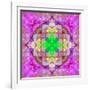 Ornament from Flower Photographs, Conceptual Layer Work-Alaya Gadeh-Framed Premium Photographic Print