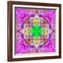 Ornament from Flower Photographs, Conceptual Layer Work-Alaya Gadeh-Framed Premium Photographic Print