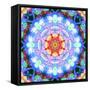 Ornament from Flower Photographs, Multicolor Layer Artwork-Alaya Gadeh-Framed Stretched Canvas