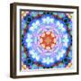 Ornament from Flower Photographs, Multicolor Layer Artwork-Alaya Gadeh-Framed Photographic Print