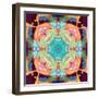 Ornament from Flower Photographs, Multicolor Layer Artwork-Alaya Gadeh-Framed Photographic Print