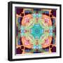 Ornament from Flower Photographs, Multicolor Layer Artwork-Alaya Gadeh-Framed Photographic Print