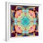 Ornament from Flower Photographs, Multicolor Layer Artwork-Alaya Gadeh-Framed Photographic Print